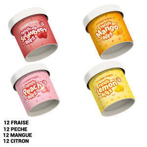 Frosty Fun ICE CREAM MIX (48x150g) + LIVRAISON COMPRISE